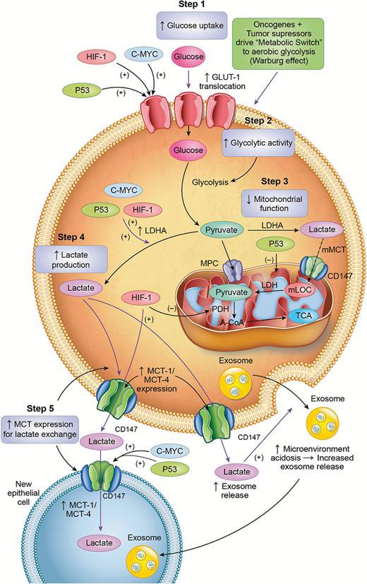 Iñigo San Millán tweet media