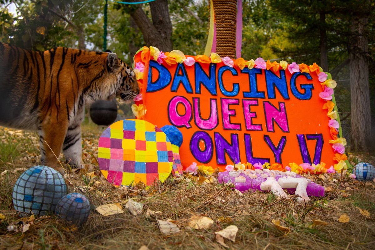 The Valley Zoo Development Society tweet media