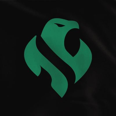 Riyadh Falcons tweet media