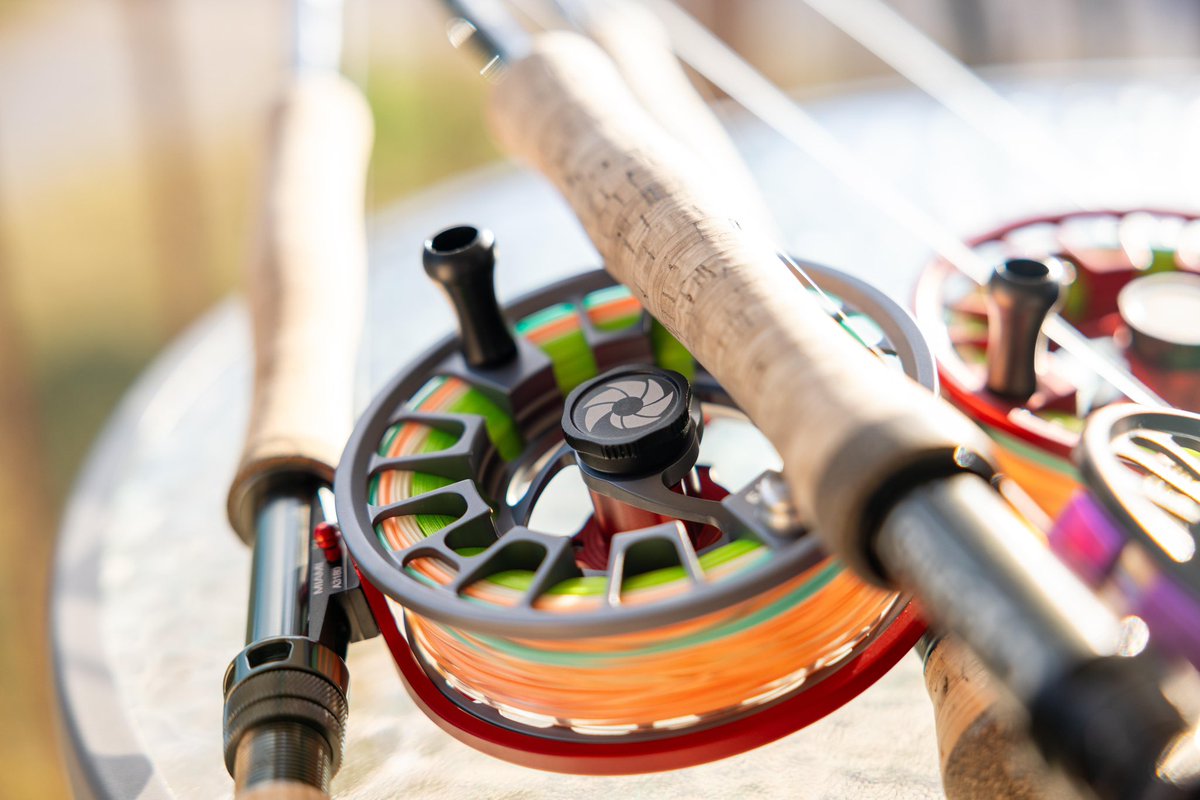 Nautilus Reels tweet media