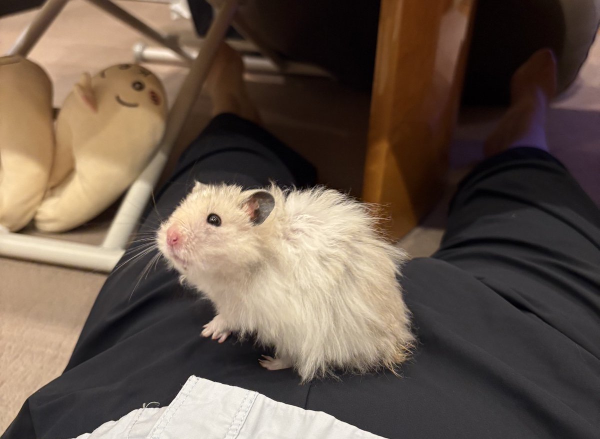 mochio2019's tweet photo. 乗り https://t.co/nbnh0h4OCS