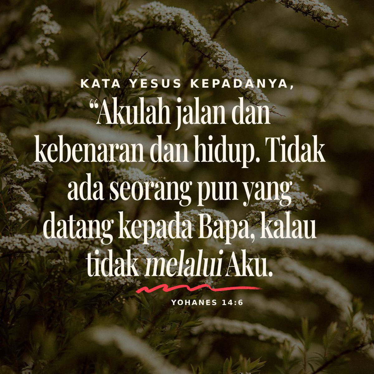 bible.com/verse-of-the-d…