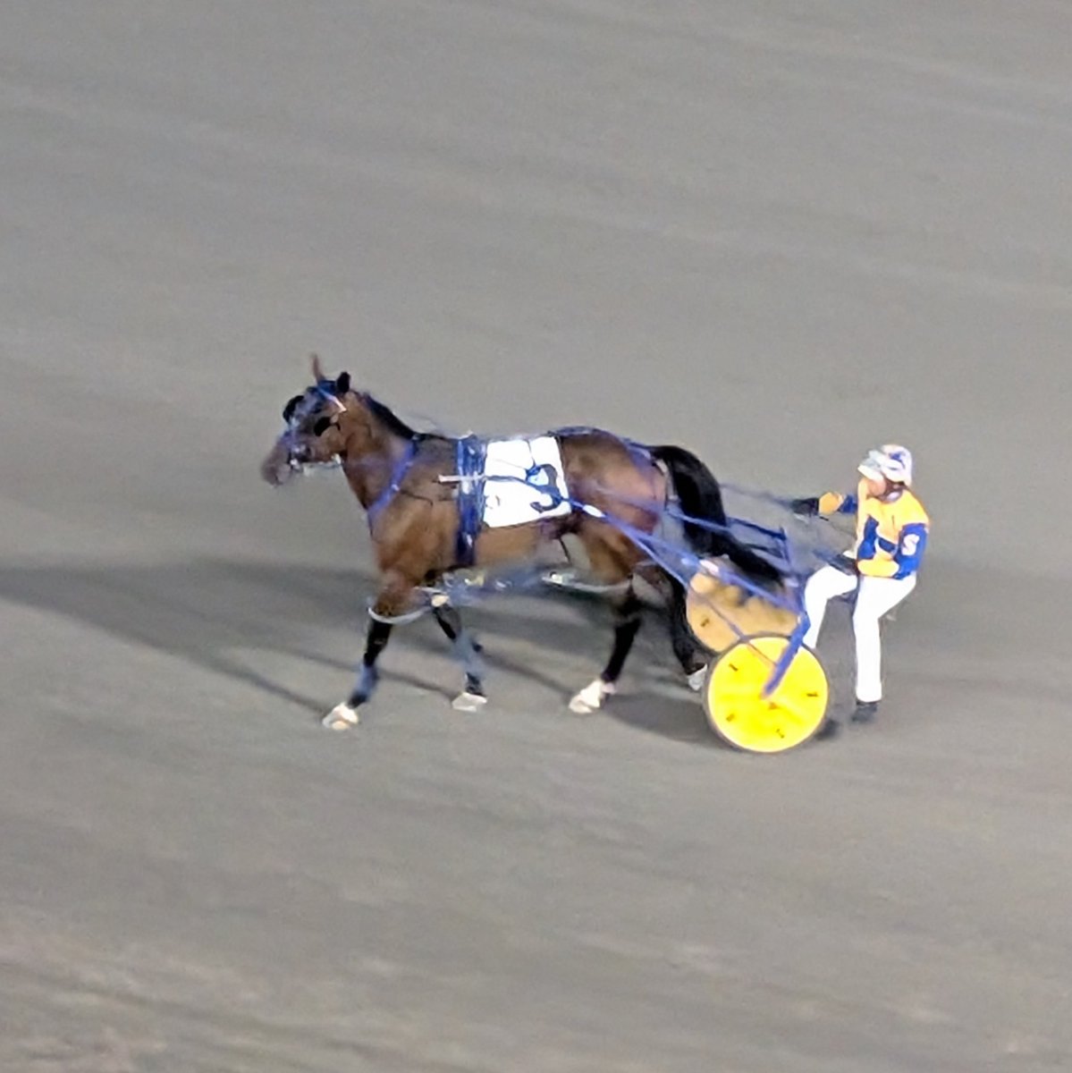 TheTriactor's tweet photo. JACK WICK is now 3 for 3 @RideauCarleton, lowering his lifetime mark to 1:52.4f in R4 tonight ⏱️

Also Robert Shepherd's third driving win of the card https://t.co/F61r9BPJZR