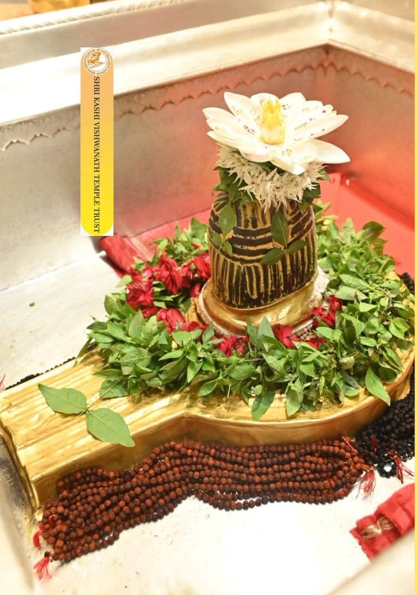 Toofan Ojha tweet media