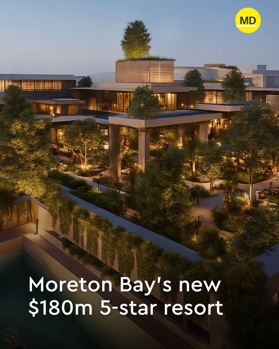 Moreton Daily tweet media