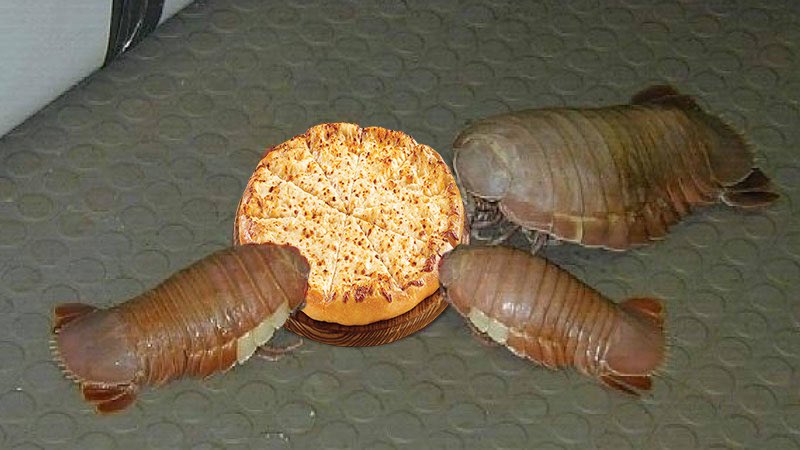 sleep token and thornhill eating that pizza up