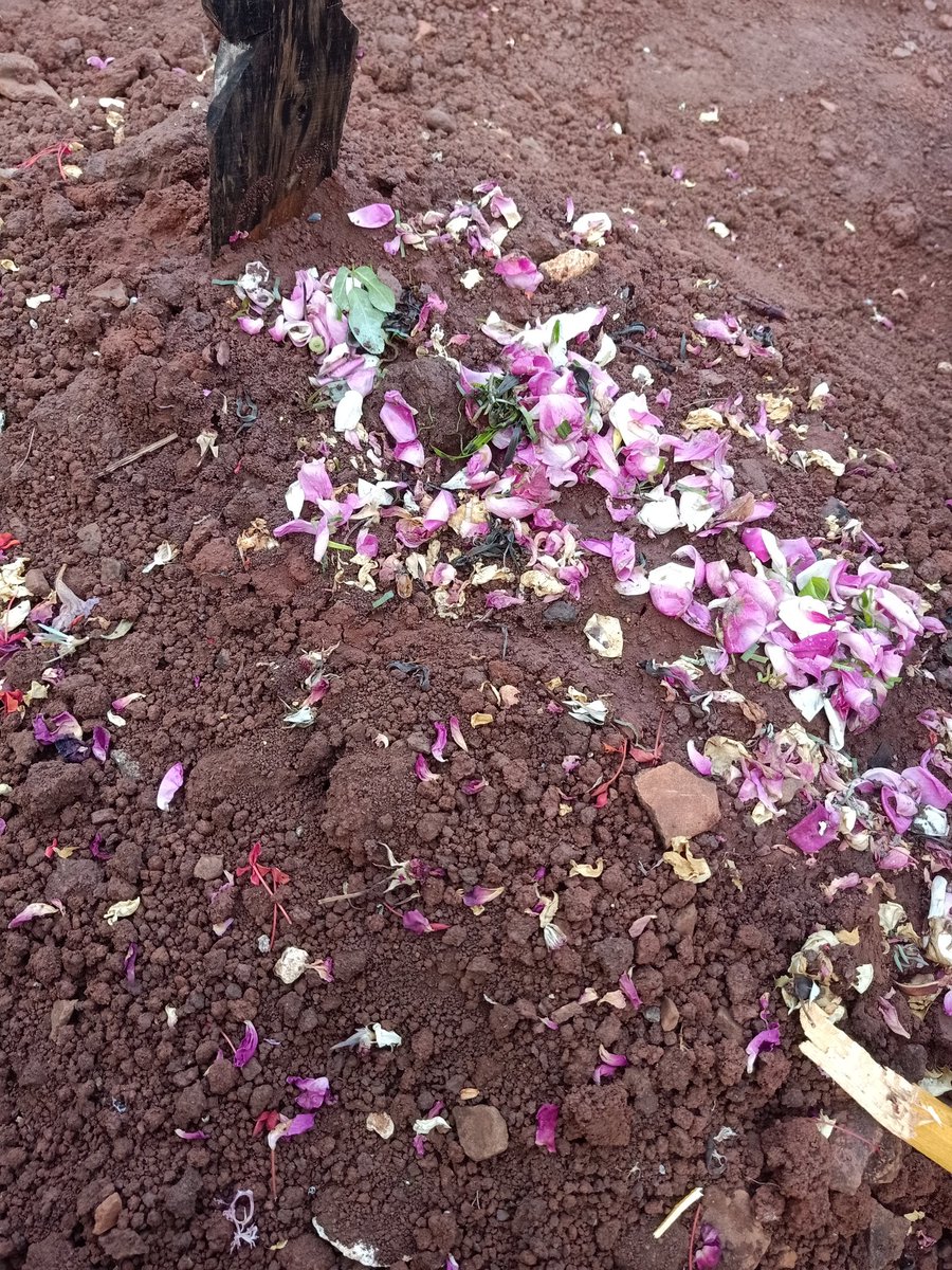 ciidera_'s tweet image. day 5 jadi piatu🗿