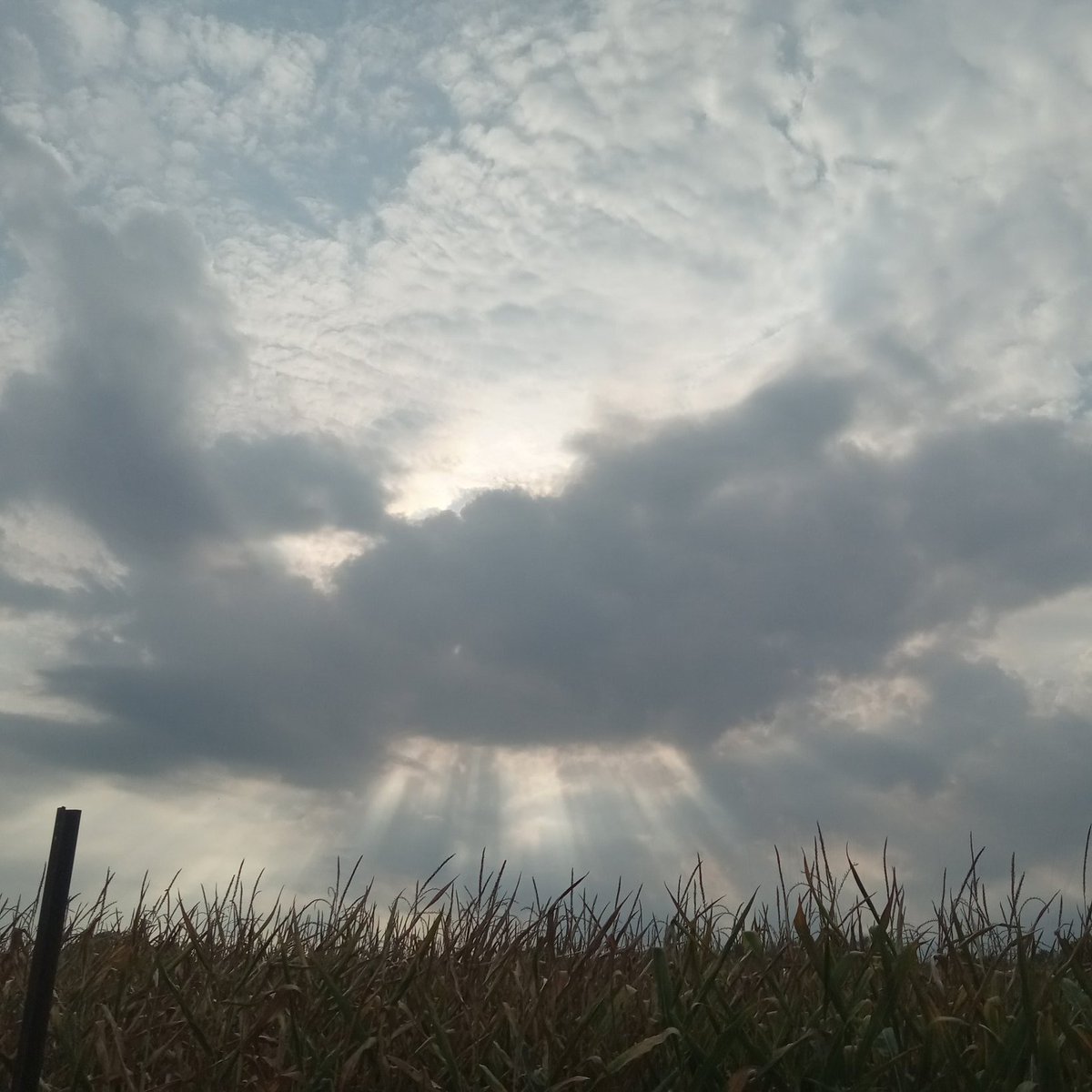 <a href="/Chemtrail101/">Chemtrailcity</a> Real clouds have form. These are blurry chemicals in our skies.