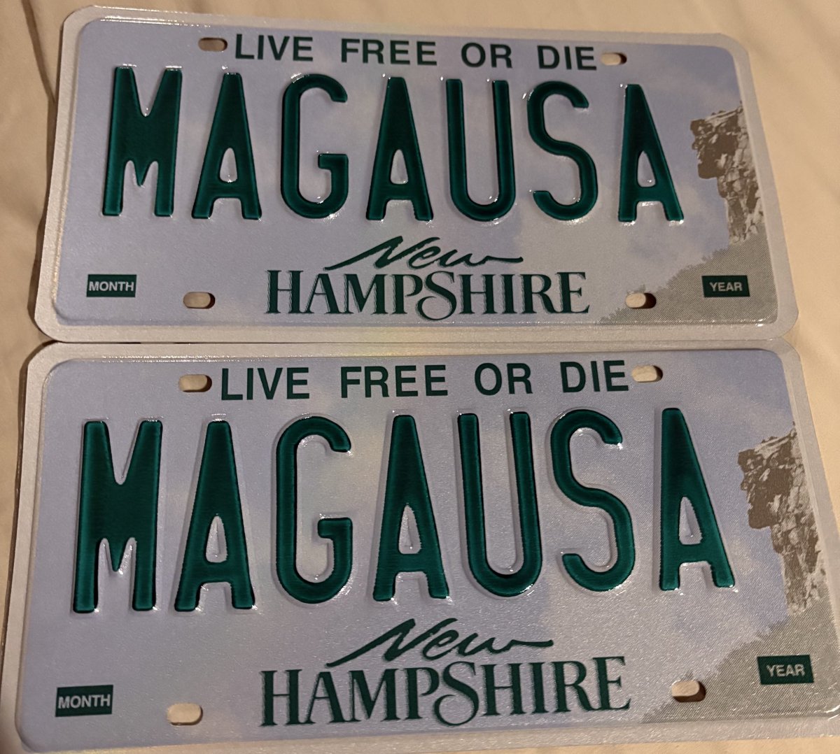 My new plates finally arrived! 💪 Time to double down on being bold🇺🇸