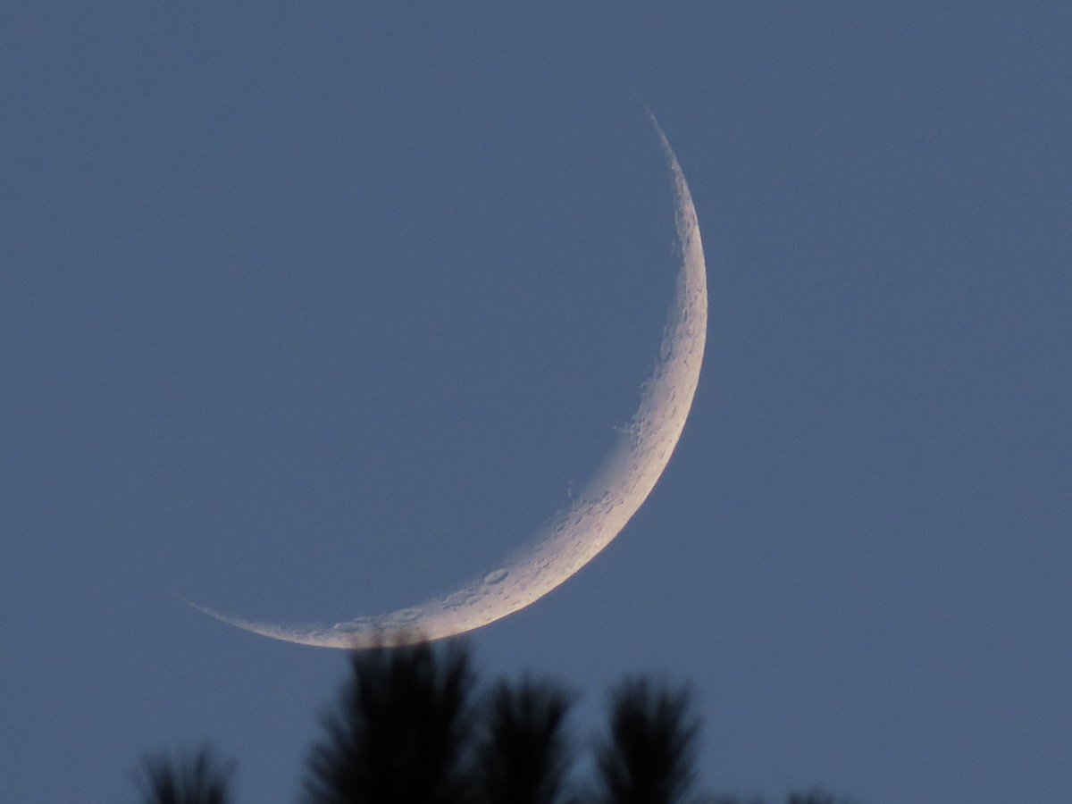 Isidro Nando Pestana tweet media