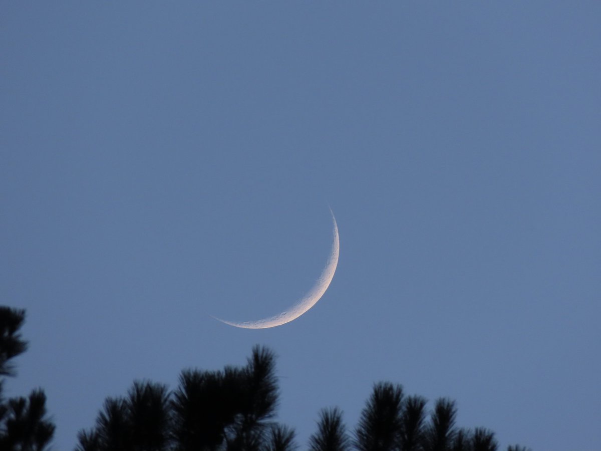 Isidro Nando Pestana tweet media