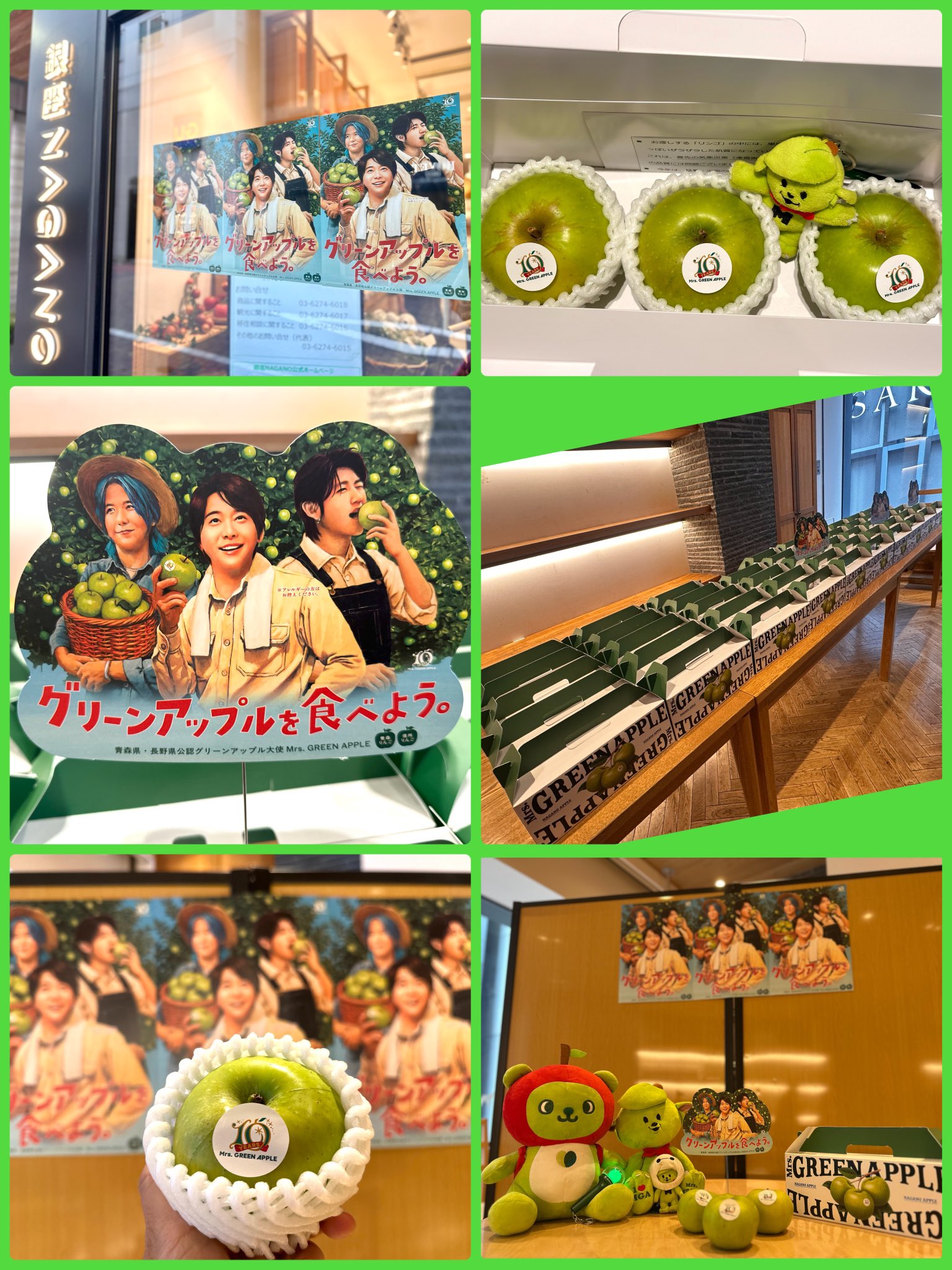 Mr.GREEN APPLE まとめ売り ≪MGA MAGICAL 10 YEARS ANNIVERSARY LIVE 〜FJORD〜≫OFFICIAL