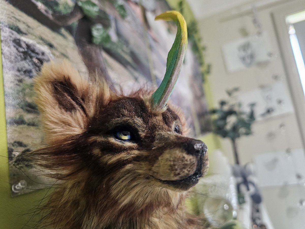 DregsyDrew's tweet photo. 🌈✨️ my bb gorl, keshet- got an art doll she deserved from the talented lee cross creations, one of my all-time time inspirations as a child, this is a huge sentimental piece to me. https://t.co/53l3EKYBX8