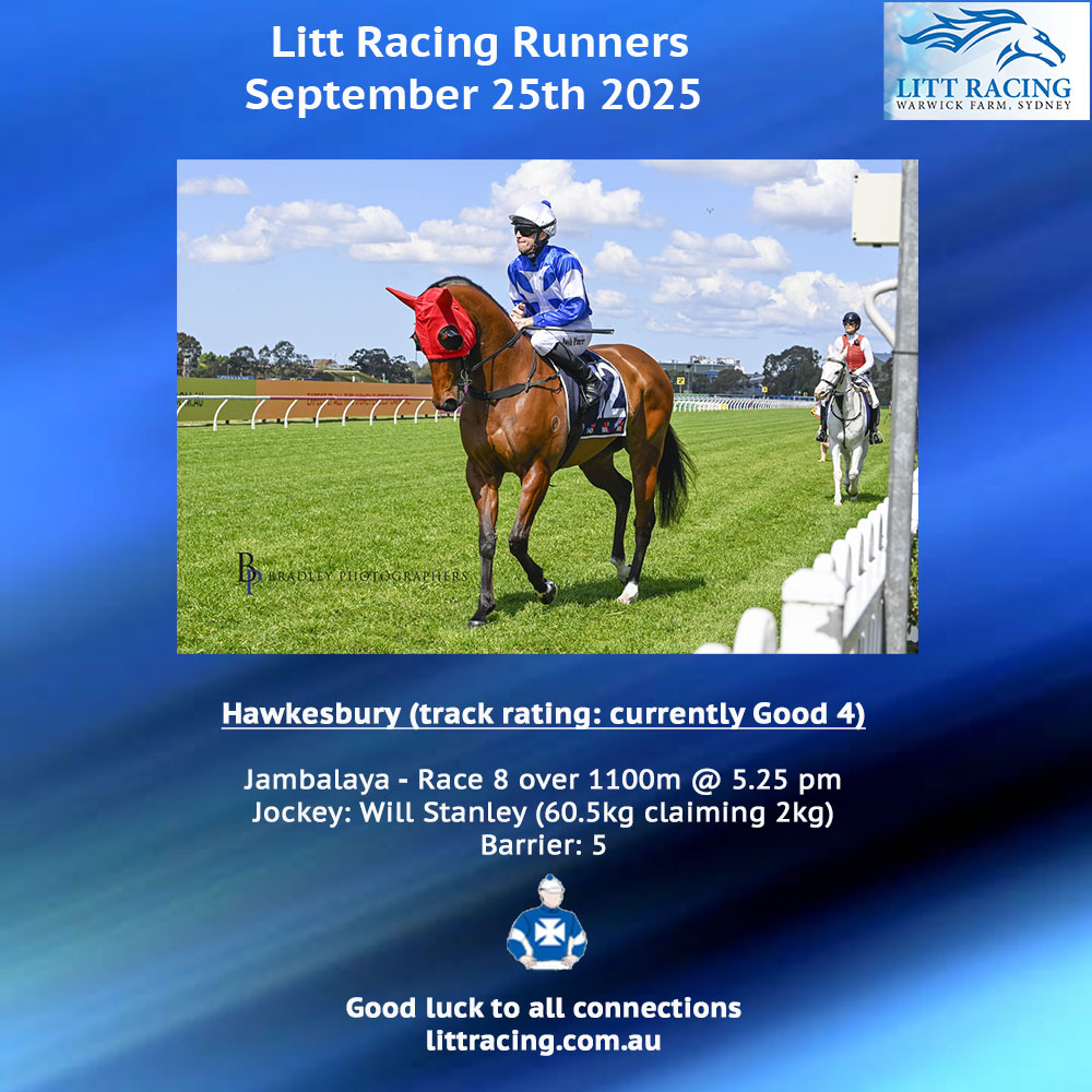 The team heads to Hawkesbury today with JAMBALAYA, who drops back to provincial grade over 1200m. Good luck to all connections, jockey Will Stanley, and our boy.