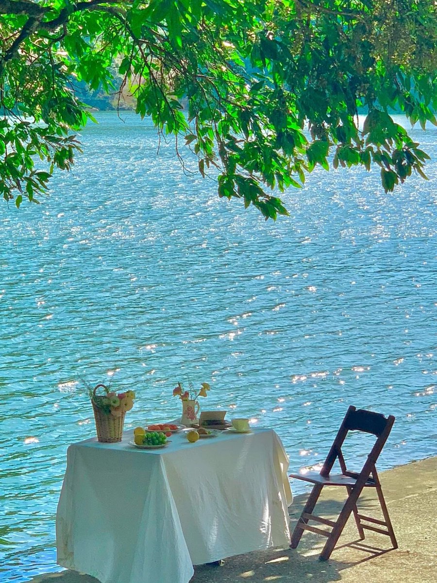 greendreamvibes's tweet image. 