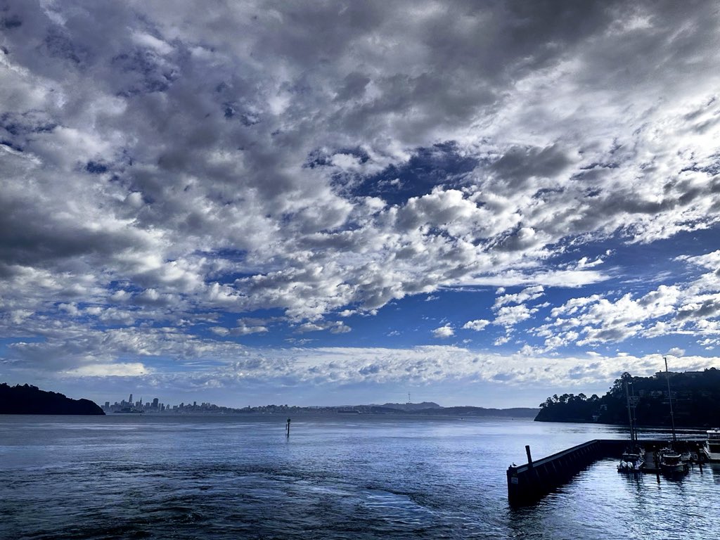 Jina Anne tweet media