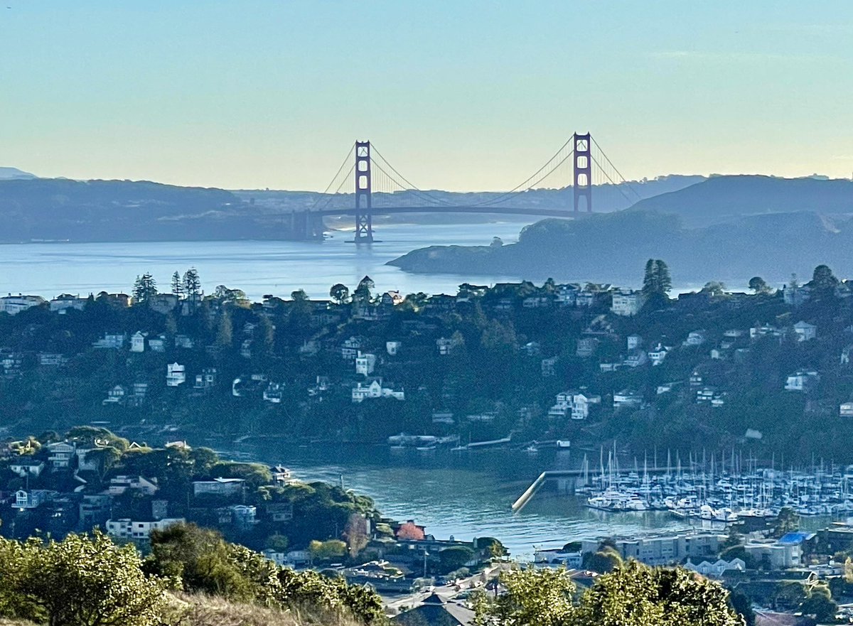 Bruce Carlisle tweet media