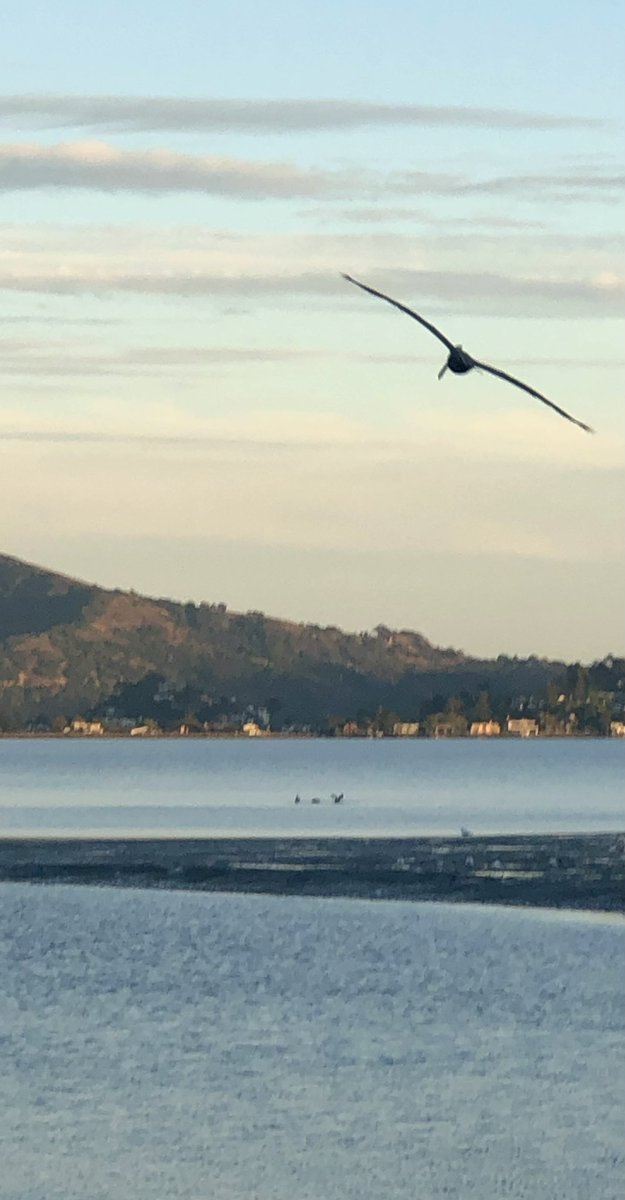 Bruce Carlisle tweet media