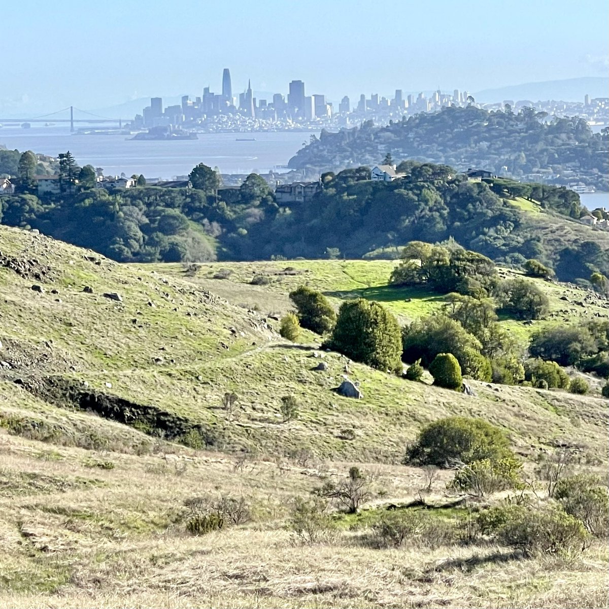 Bruce Carlisle tweet media