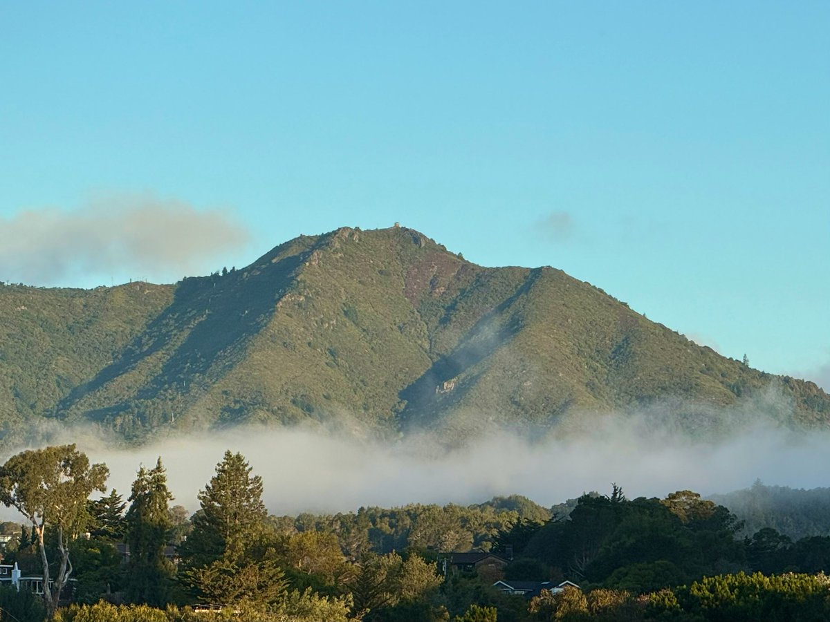 Bruce Carlisle tweet media