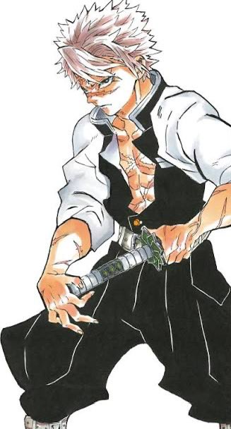 TalesOfRandolph's tweet photo. The greatest hashira… no contest… #demonslayer https://t.co/RwuQrFqC9b