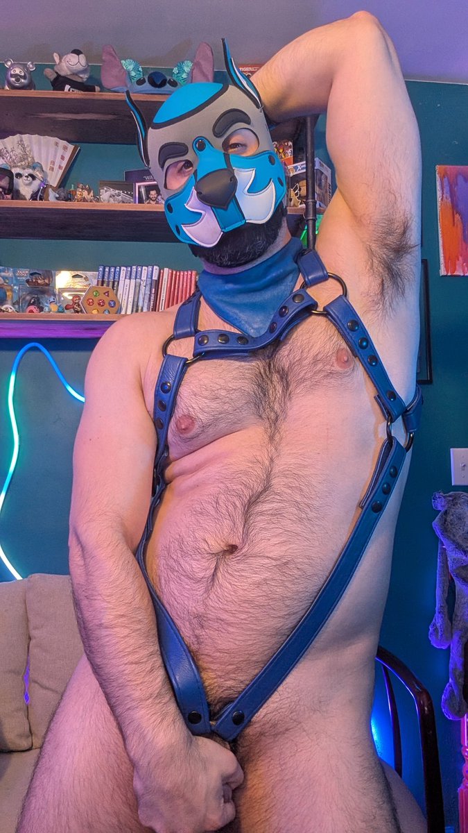 Wolfy WolFang tweet media
