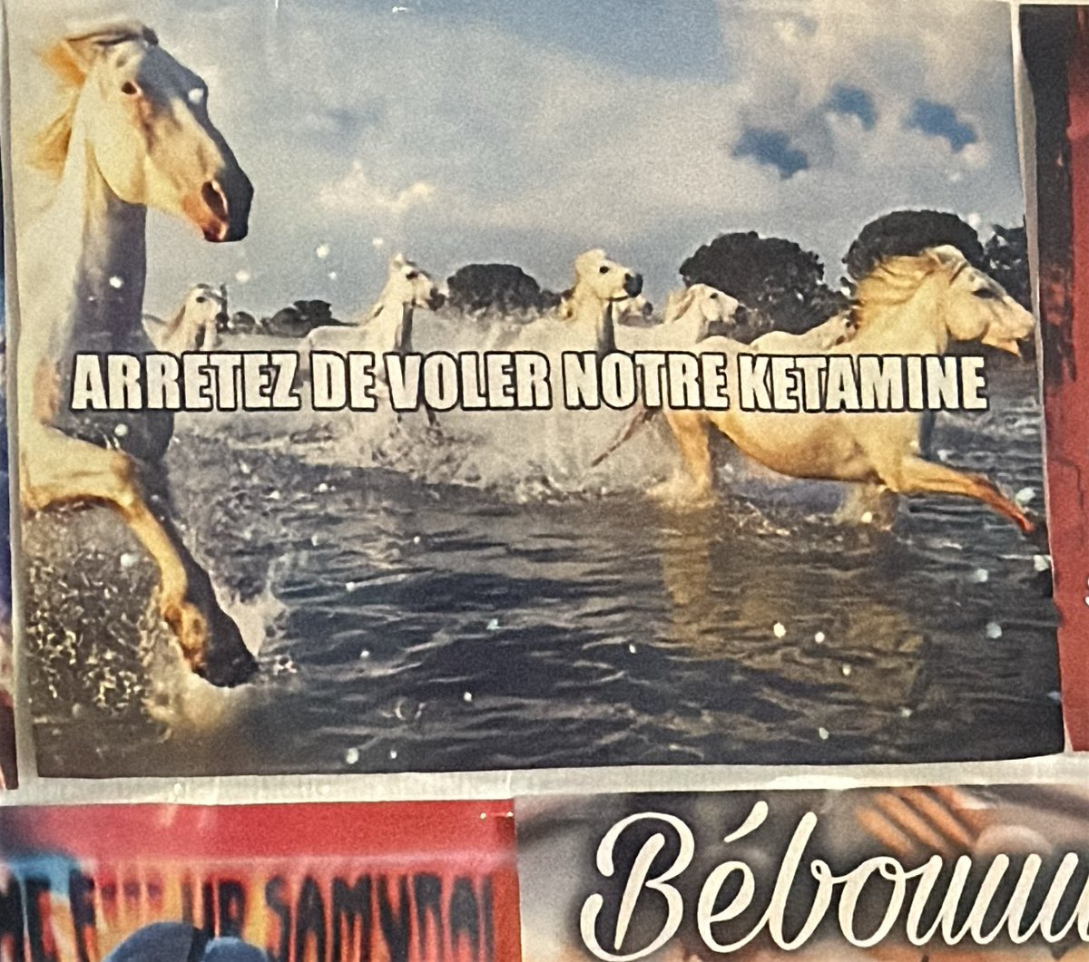 Arretez de voler notre KETAMINE!!!!