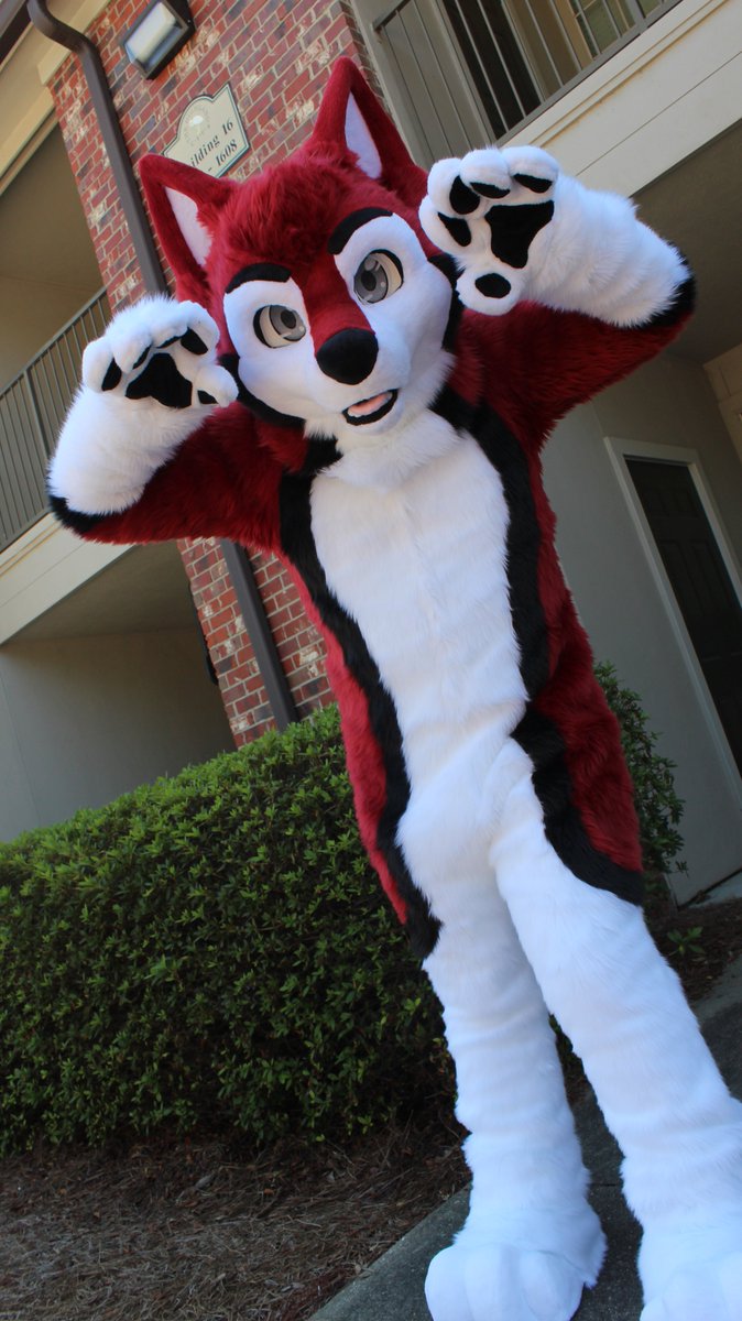 FireWolfStudio's tweet photo. Oh! Whos this? 
Time to introduce @knoxx1616 to the Fire Wolf Family! So much fun making such a cute pupper!!! What do yall think!
Additional pics in thread!! https://t.co/86QLlrixzp