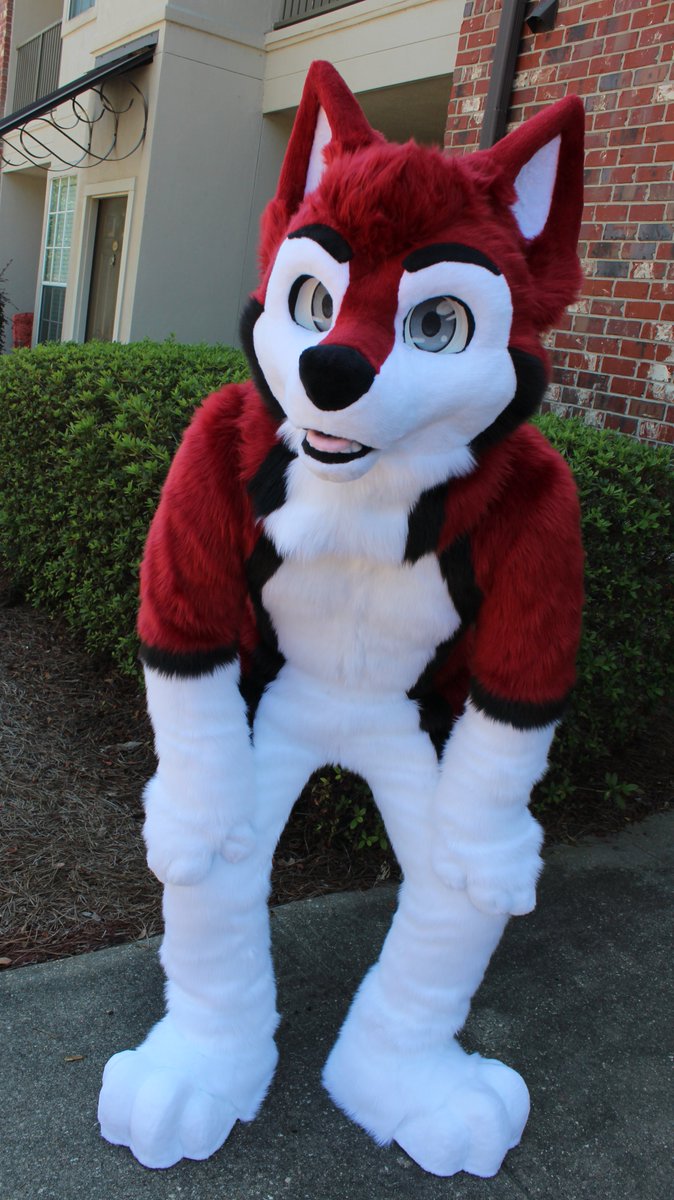 Oh! Whos this? 
Time to introduce <a href="/knoxx1616/">Knoxx</a> to the Fire Wolf Family! So much fun making such a cute pupper!!! What do yall think!
Additional pics in thread!!