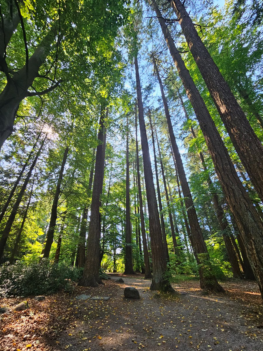 b17tenlive's tweet image. i'm marrying the love of my life btw in case somebody missed it