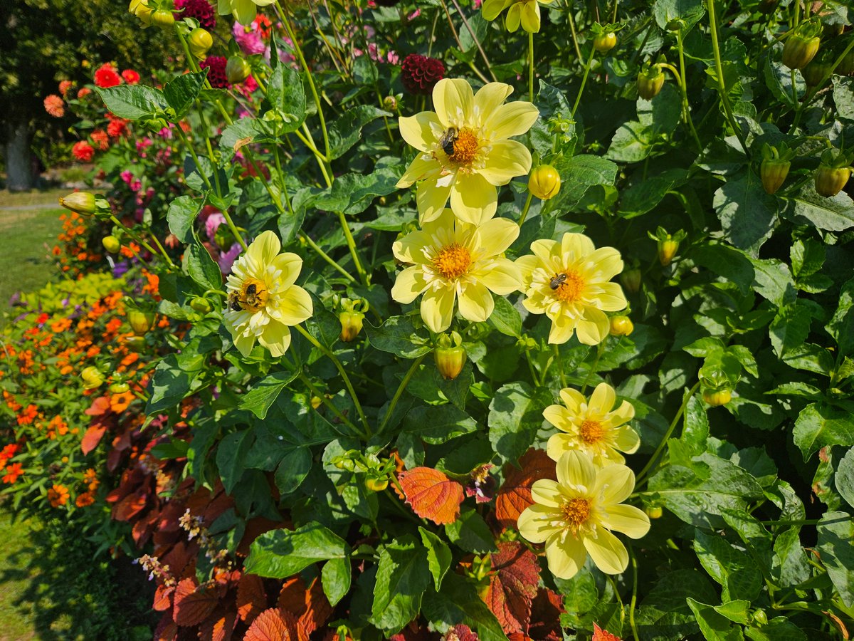 b17tenlive's tweet image. i'm marrying the love of my life btw in case somebody missed it