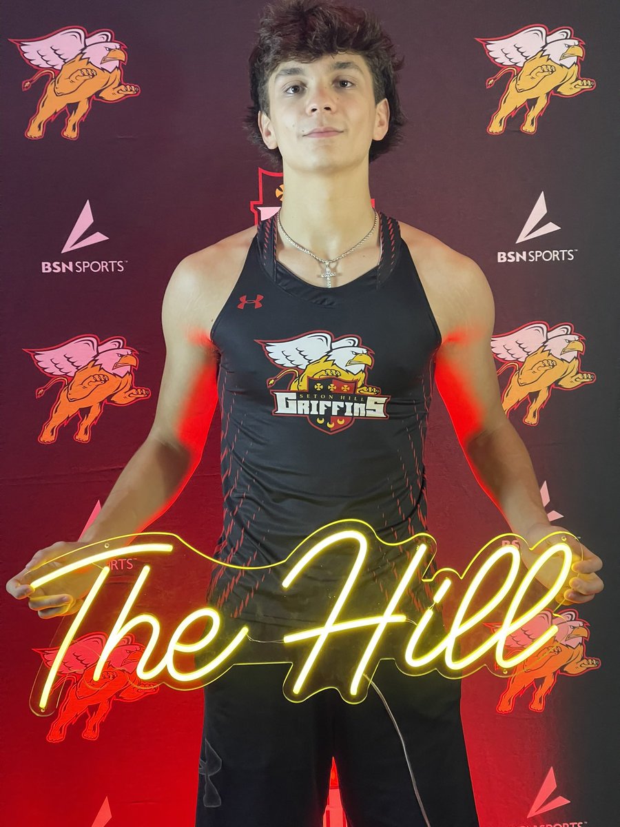 Michael Schrems tweet media