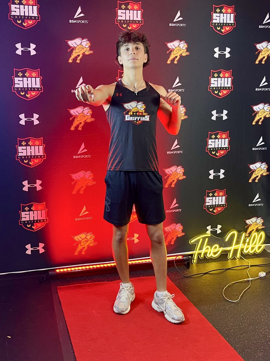 Michael Schrems tweet media