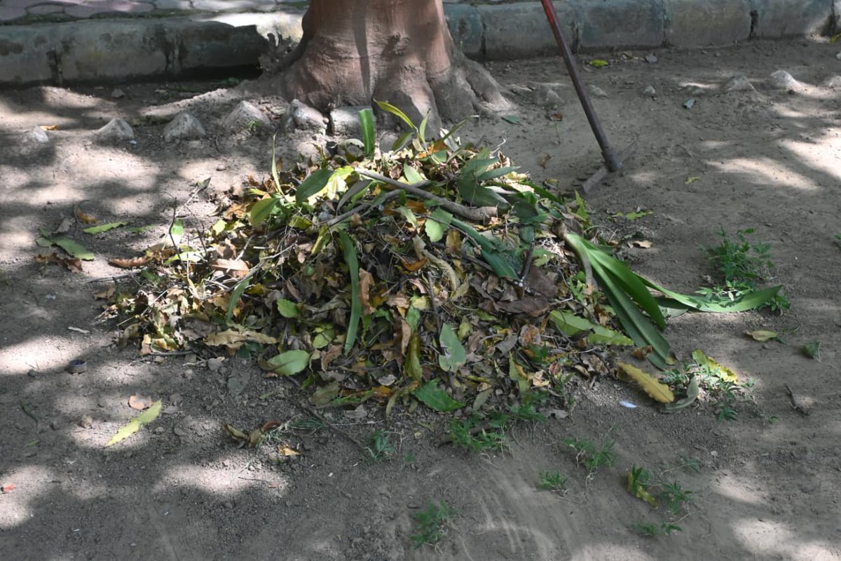 CentralSanskrit's tweet image. @CentralSanskrit
में #स्वच्छतोत्सव के तहत सामुदायिक सेवा स्वच्छता कार्यक्रम का आयोजन सार्वजनिक उद्यान (पार्क), जनकपुरी, डी-1 में किया गया। @SwachhBharatGov, @MoHUA_India, @MoJSDDWS, @EBSB_Edumin, @EduMinOfIndia
@shrivarakhedi
 #SHS2025 #SwachhataHiSeva2025 #Swachhotsav #EBSB