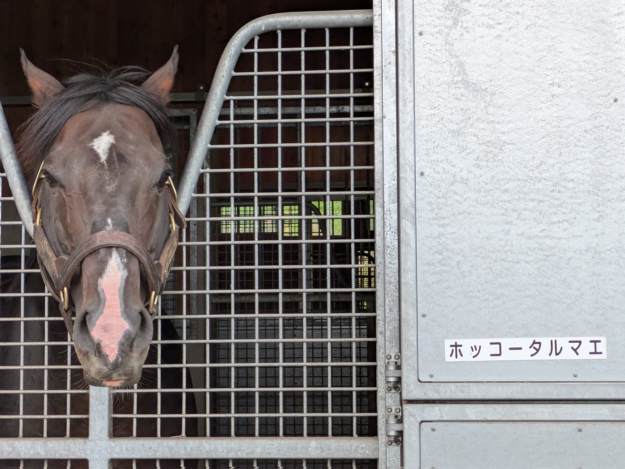 あーにゃん ププにゃん (@pupunyan6826) / X