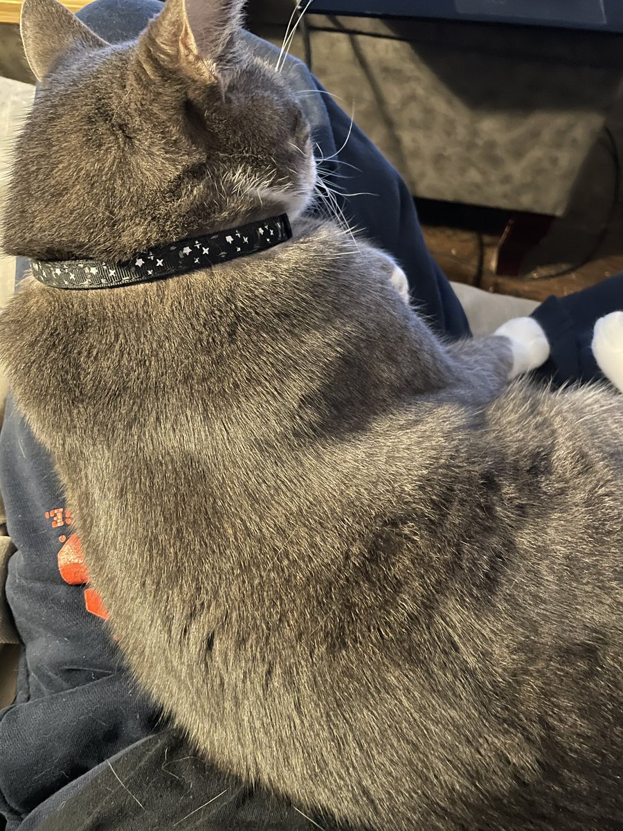 mitchellscomet's tweet image. Cozy time is always when I have something I want to go do