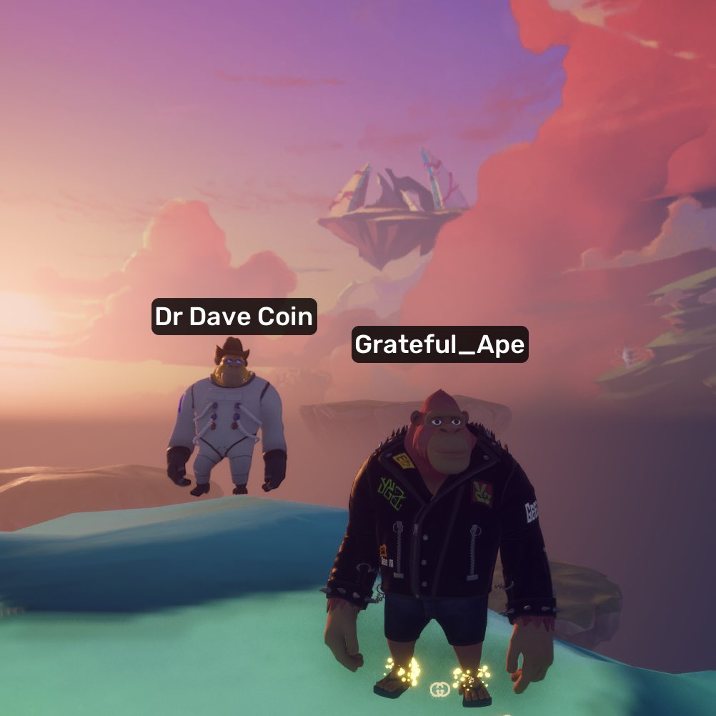 Grateful Ape🍌 tweet media