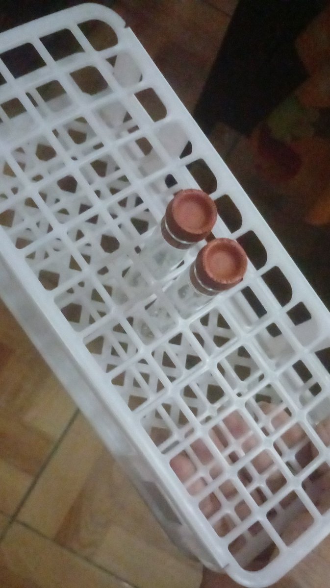 Spacedogoxyz's tweet image. Beautiful rack for test tubes..., I simply love it and I also thank you, it is done a lot
🧝🏾‍♀️🧝‍♀️🧝🏾‍♀️🧝‍♀️🧫
#Transhumanism #Biohacking