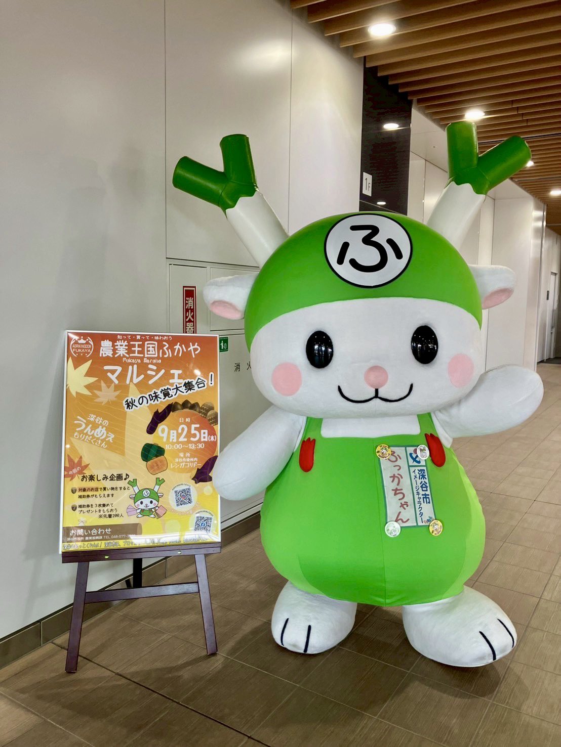 ぷっかん様 ふっかちゃん on X: 