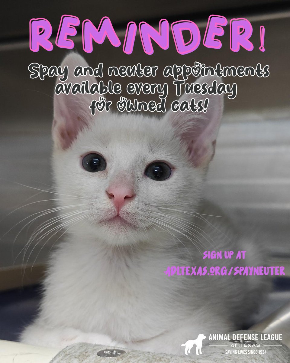 REMINDER‼️
We have open spay and neuter appointments every Tuesdays just for your feline friends! 
✨For cats 3 months to 8 years old (at least 3 lbs)
 ✨Includes rabies + FVRCP vaccines if needed
⭐Spots fill up fast, so don’t wait!! Schedule now at adltexas.org/SpayNeuter!