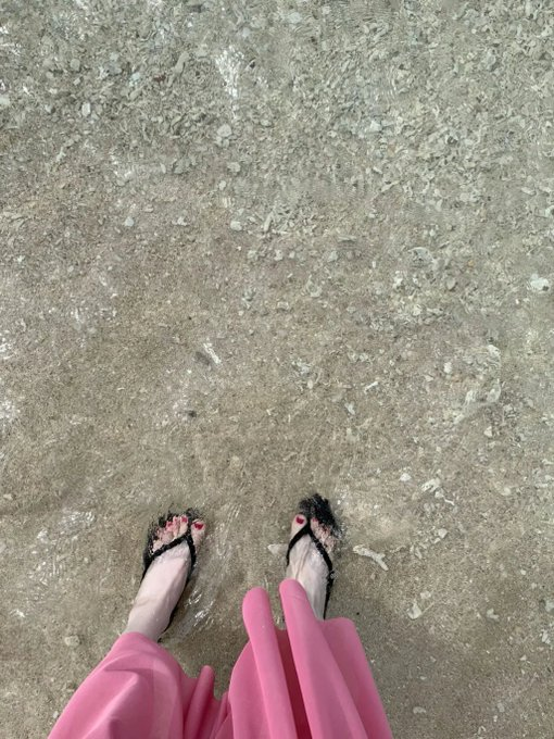 byejapp's tweet image. The temperature has been just right these past few days. Not too cold, not too hot. 😊