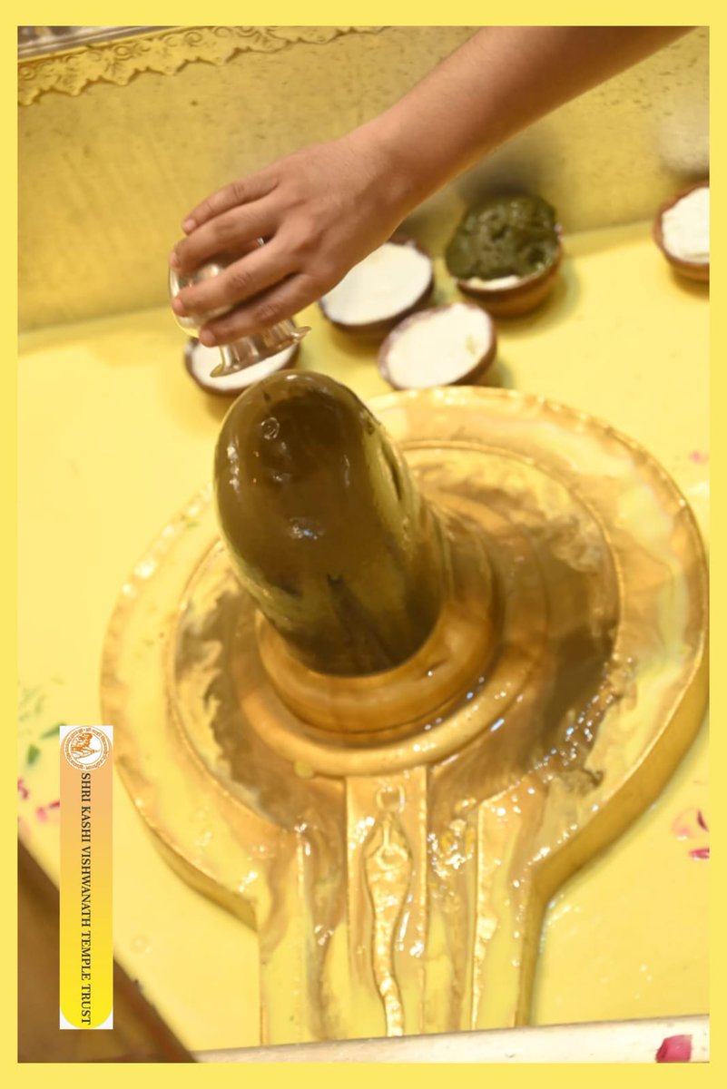 आज श्री काशी विश्वनाथ जी की सप्तऋषि आरती I
#kashivishwanath #kashi #sanatandharma #banaras