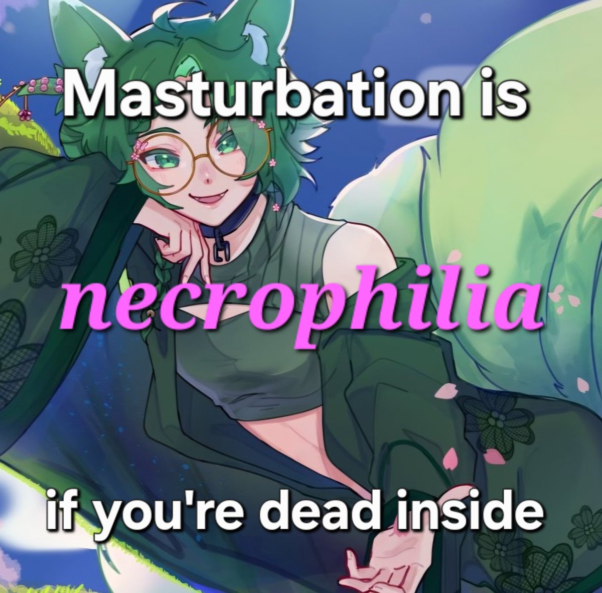 Midori 🎋 tweet media