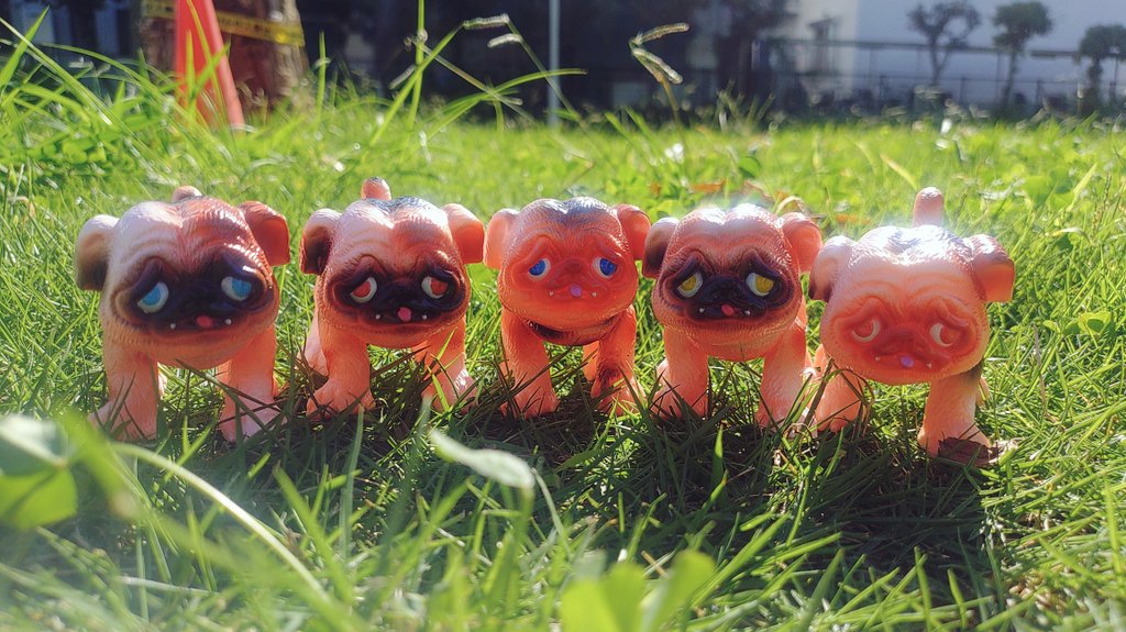 パグちゃん Kazu&4pugs (@kazu.8989) · Instagram photos and videos