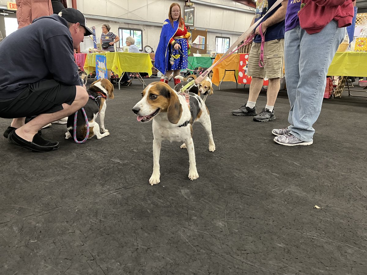 We're in the final countdown! 🐾 Only 3 days until the BONES Bash!

Get ready to celebrate with us this Saturday, September 27th. We can't wait to see all of our friends—both human and #beagle ! bash.bonesbeagles.org