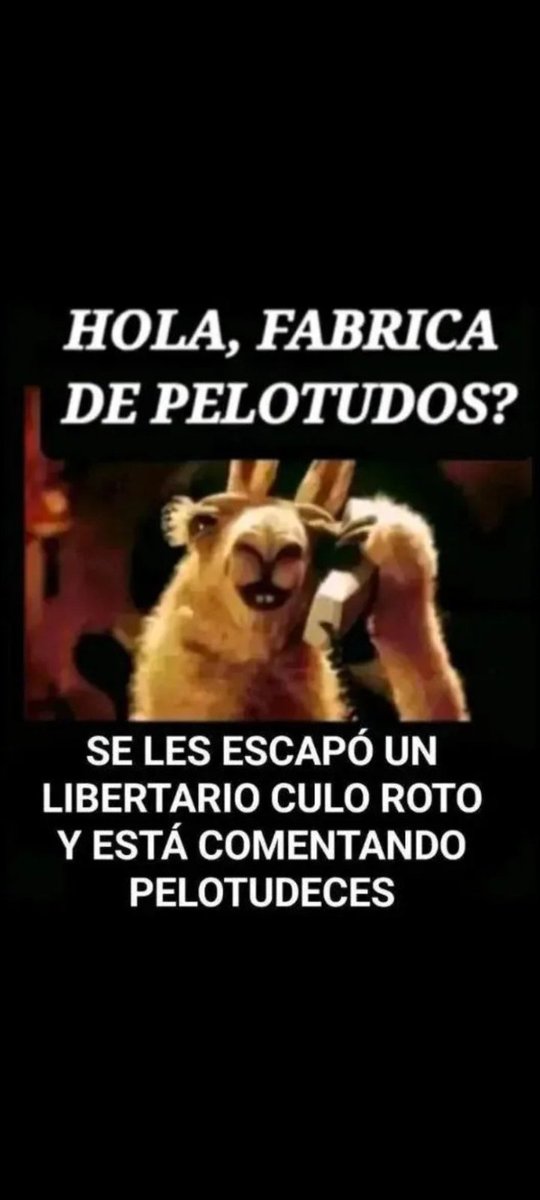 Patricia Mac Laici 🇦🇷 tweet media