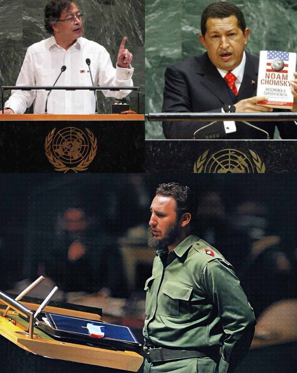 El Necio tweet media