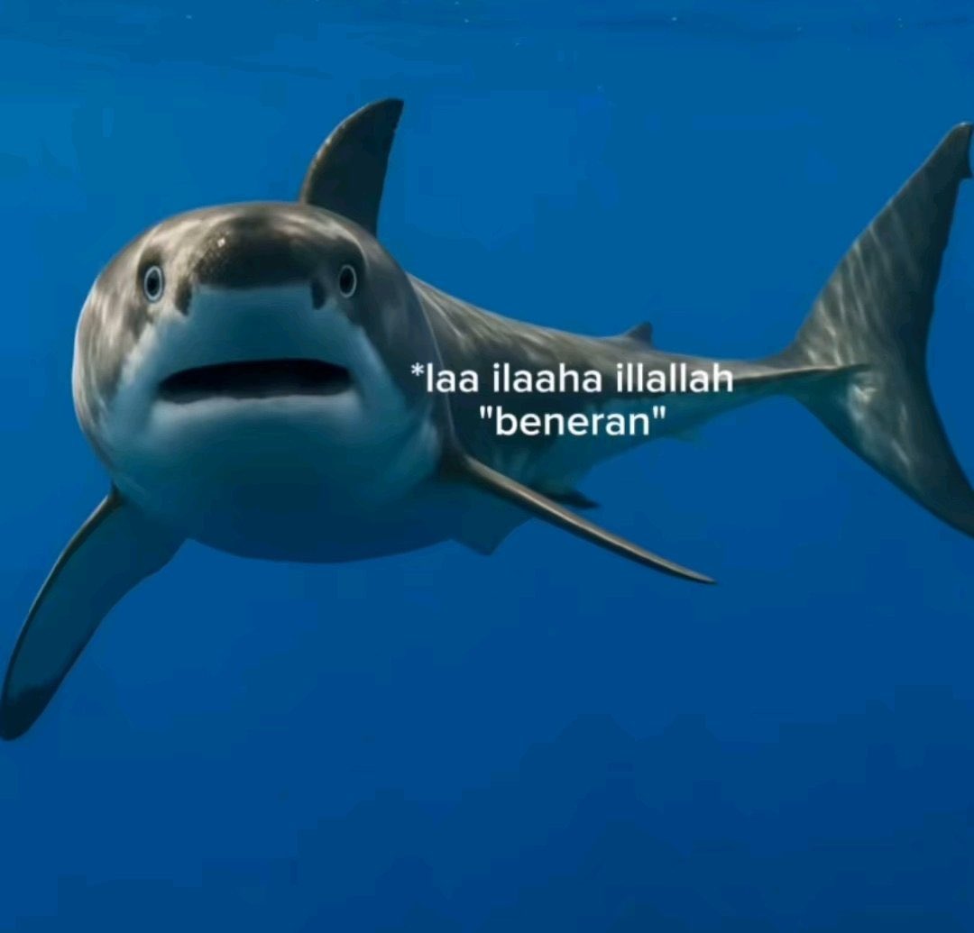 Bagus Prasetya tweet media