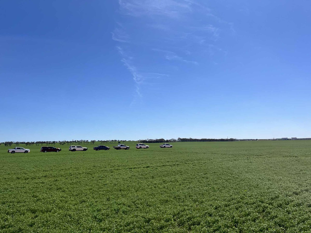 Agfert Fertilizers tweet media