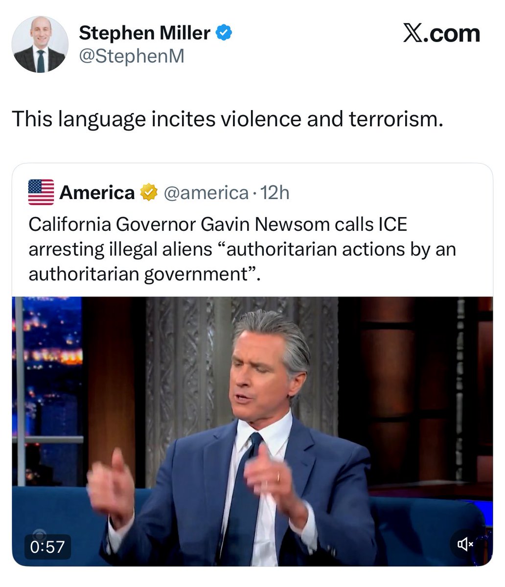 Trying to criminalize the act of calling a government "authoritarian" is exactly what an authoritarian government would do.